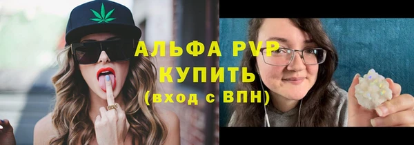 стафф Заводоуковск