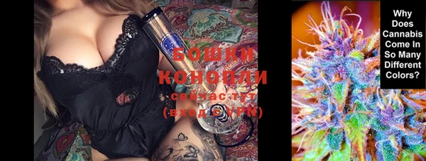 стафф Заводоуковск