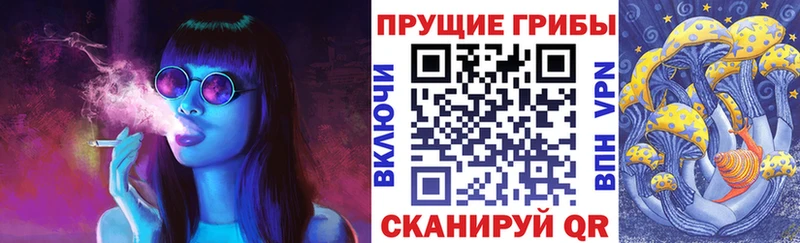 Галлюциногенные грибы прущие грибы  Купить закладки  Зеленокумск 
