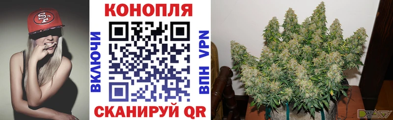 Купить где  Зеленокумск  Конопля марихуана 